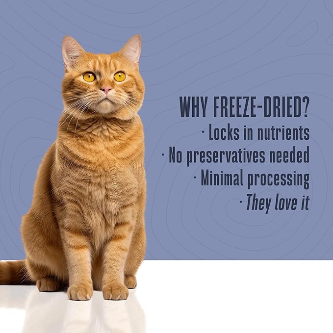 Whole Life Cat Just One Shrimp Freeze Dried Cat Treats - Human Grade High Protein Food, Healthy Training Snacks, Freeze Dried Shrimp Food Toppers, USA Made Natural Treats - .7 oz (Pack of 1)