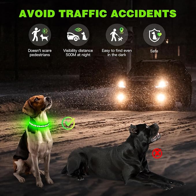 Flashseen LED Dog Collar Light Up USB-C Rechargeable (Green, Large)