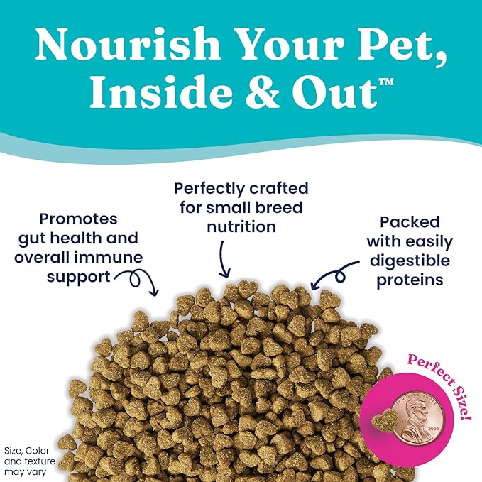 Solid Gold Toy & Small Breed Dry Dog Food Small Bites – Real Beef, Grain Free, Gluten Free, High Fiber Kibble with Probiotics for Gut Health & Digestion Support – Healthy Dog Food All Ages – 11LB