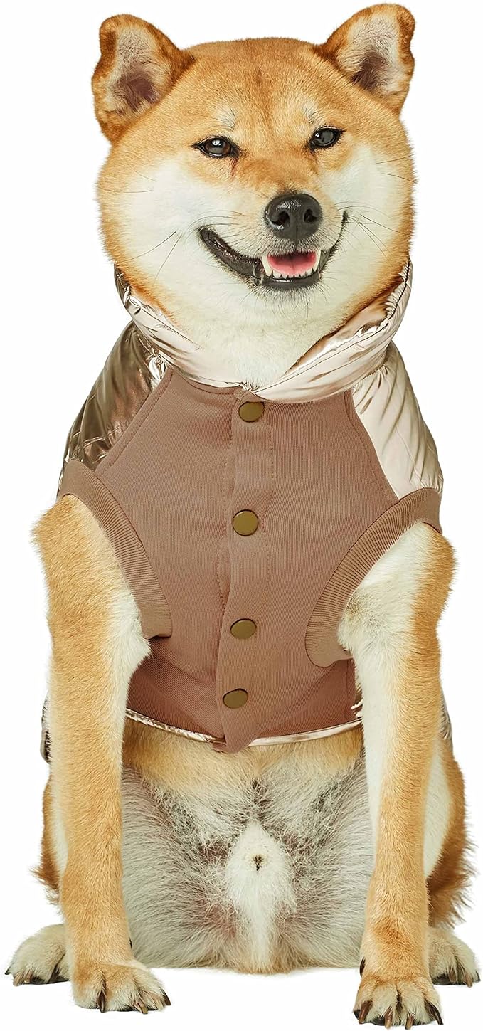 Blueberry Pet Cozy & Comfy Windproof Lightweight Quilted Fall Winter Glossy Dog Puffer Jacket in Gold, Back Length 24", Size 22, Warm Coat for Large Dogs