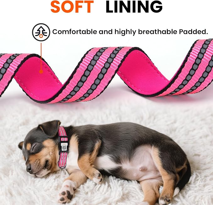 Personalized Dog Collar with QR Code Dog Tag, Rose Red S | Anti-lost, 1000D nylon, reflective, padded, XS-L(8"-24"), QR buckle shares lost pet profile, location alerts when scanned