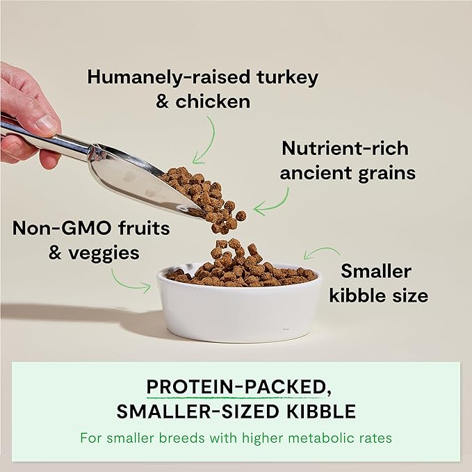 Open Farm, Ancient Grains Dry Dog Food For Small Breeds, Protein-Rich & Nutrient Dense, 90% Animal Protein With Non-GMO Fruits, Veggies and Superfoods, Chicken & Turkey Recipe For Small Dogs, 11lb Bag