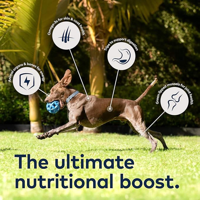ZIWI Peak Air-Dried Dog Food – Beef - All Natural, High Protein, Grain Free, Limited Ingredient w/Superfoods (3.5oz) (Pack of 2)
