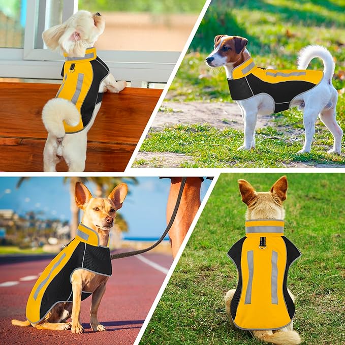 Small Dog Coat, Warm Dog Winter Jacket, Reflective Pet Jacket with Fleece Lined, Pet Clothes for Small Medium Dogs (Yellow, L)