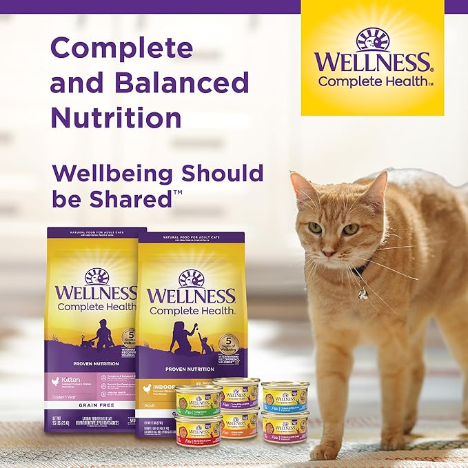 Wellness Complete Health Minced Adult Wet Cat Food, Natural, Protein-Rich, Grain Free, 3 Ounce , 24 Pack, (Chicken Entrée)