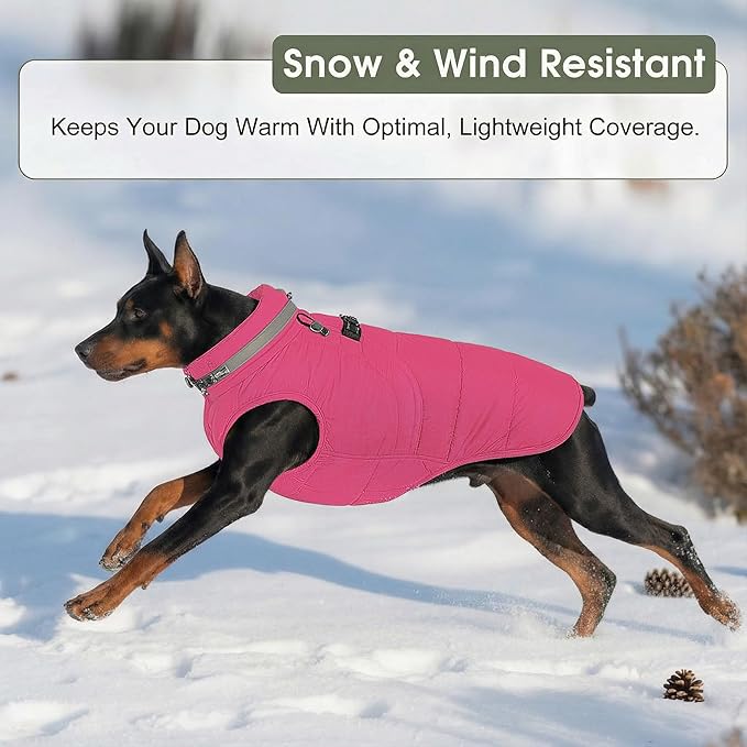 SAWMONG Dog Coat, Warm Dog Winter Coat, Waterproof Fleece Jacket, Cold Weather Dogs Jacket (S,Rosered)