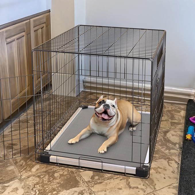 FXW TitanNest Chew-Proof Elevated Dog Bed, Raised Cot for Indoor/Outdoor/Camping Use, Durable & Washable Padded Pet Bed for Small Dogs, 35.0" L x 22.0" W x 4.5" H, Gray