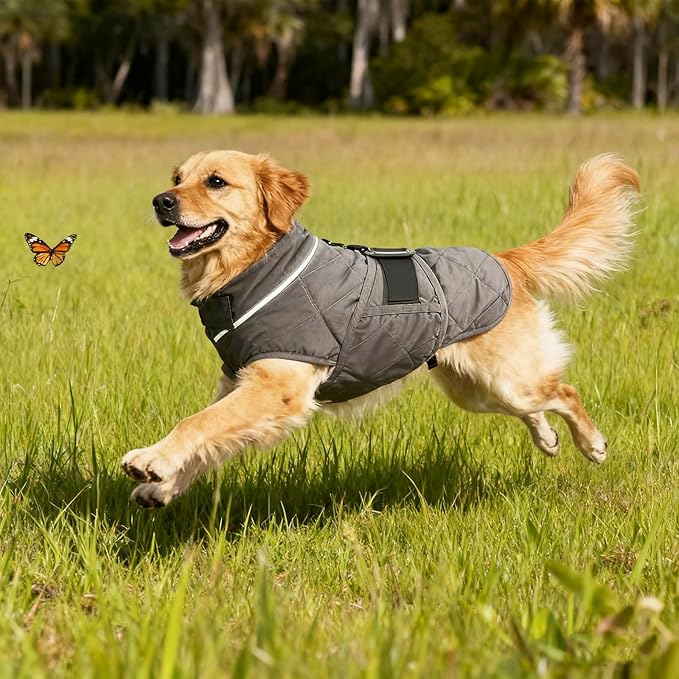 Weighted Dog Vest, Tactical Weight Coat with Beads for Dogs - Relieve Anxiety, Build Muscle & Optimize Health, Premium Heavy Duty Dog Training Jacket for Exercise and Strength (Dark Grey, S)