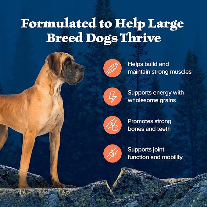 Blue Buffalo Wilderness Large Breed Adult Dry Dog Food Wholesome Grains Natural Ingredients Chicken