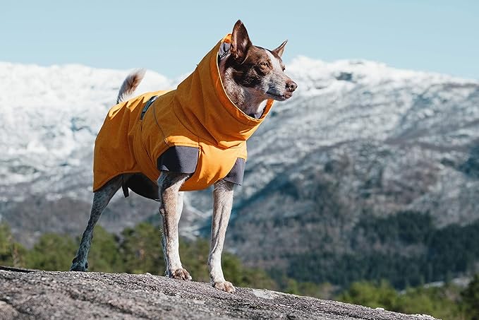 Hurtta Expedition Parka, Winter Dog Coat, Buckthorn, 28 in
