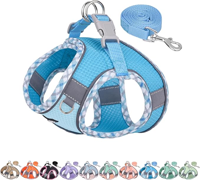 AIITLE XXS Dog Harness & Leash Set - Breathable Reflective No-Choke Small Dog Harness for Teacup Puppies, Indoor/Outdoor Use - Boston Terrier, Maltese, Chihuahua (Blue, XXS)