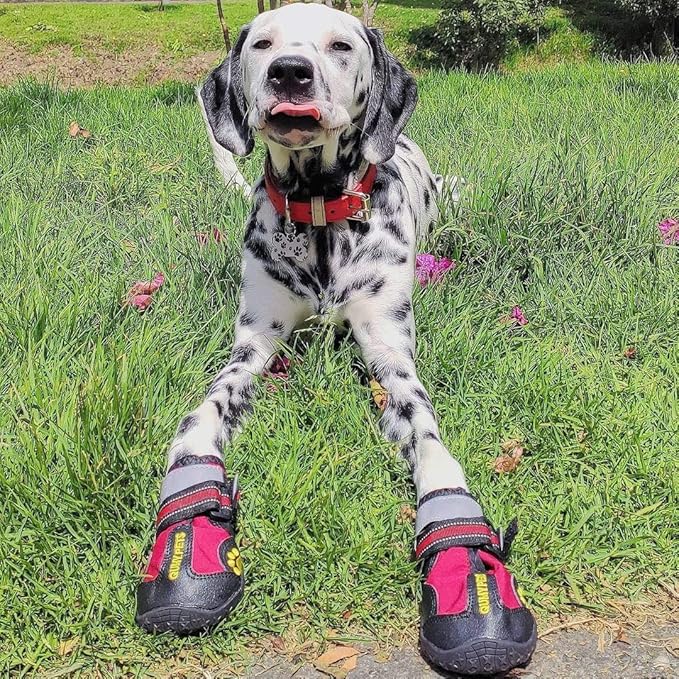 QUMY Dog Shoes for Large Dogs, Medium Dog Boots & Paw Protectors for Winter Snowy Day, Summer Hot Pavement, Water-Resistant in Rainy Weather, Outdoor Walking, Indoor Hardfloors Skid-Resistant Sole