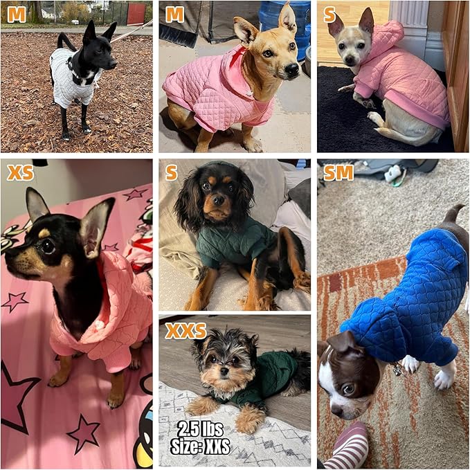 KOOLTAIL Small Dog Sweater, Ultra-Warm & Soft Winter Fall Sphynx Cat Clothes for Cats Only, Lightweight Dog Hoodie Sweatshirt for Small Dogs Boy Girl Yorkie, Chihuahua, Shih-Tzu, Puppy, Gray XS