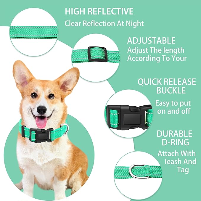 Reflective Dog Collar with Safety Locking Buckle, Adjustable Soft Breathable Nylon Collars for Small, Medium and Large Dogs(Collar+Leash XS Width 5/8" Turquoise)