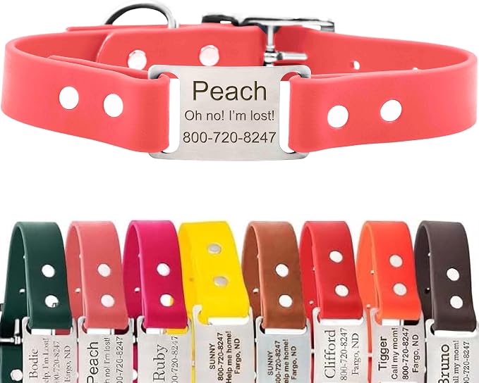 dogIDs Personalized Dog Collar – ScruffTag Custom Waterproof Biothane Dog Collar with Laser-Engraved Name, Durable & Odor-Resistant – USA Made | Coral, 1 in x 16 in (Fits Neck Sizes 14-18 in)