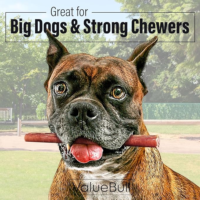 ValueBull Bully Sticks for Dogs, Thick 6 Inch, 10 Count - All Natural, Grass Fed, Single Ingredient, Long Lasting Dog Treats