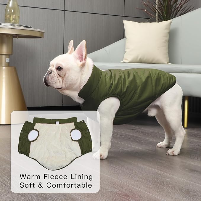 2 Layers Fleece Lined Warm Dog Jacket for Puppy Winter Cold Weather,Soft Windproof Small Dog Coat,Green M