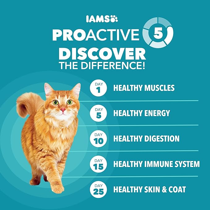 IAMS Proactive Health Indoor Weight Control & Hairball Care Adult Dry Cat Food, Salmon Recipe, 16 lb. Bag