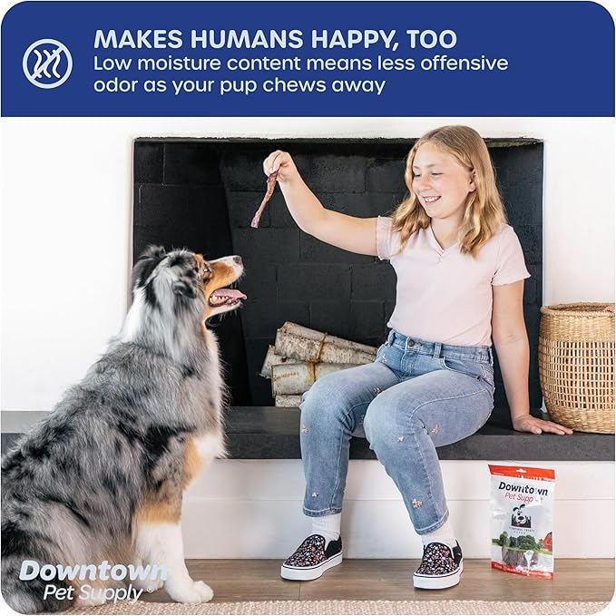 Downtown Pet Supply USA Sourced Bully Sticks for Dogs - Grass-fed Beef Chews, Low-Odor & Rawhide-Free, Long Lasting Dog Treats for Heavy Chewers - Healthy, Safe & Delicious Chews (6" 10 Pack)