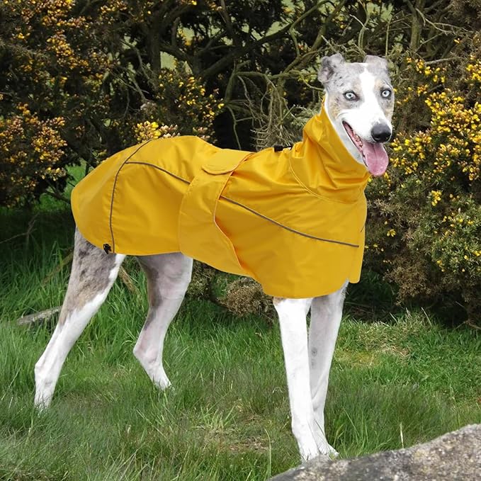 Greyhound Lurcher Raincoat, Whippet Rain Gear with Reflective Bar, Rain/Waterproof, Adjustable Bands and Drawstring in Autumn and Winter - Yellow - XL