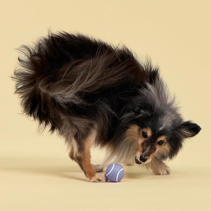 Playology Squeaky Chew Ball Dog Toy - Small, Blueberry Scent, 3-Pack