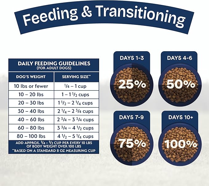 Natural Balance Health Protection Dry Dog Food – Whole Body Health, Easy on Digestion Dog Food Made with Chicken, Brown Rice & Pumpkin for Dogs - 24lbs.