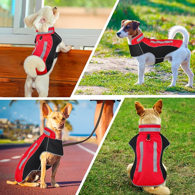 Small Dog Coat, Warm Dog Winter Jacket, Reflective Pet Jacket with Fleece Lined, Pet Clothes for Small Medium Dogs (Red, M)