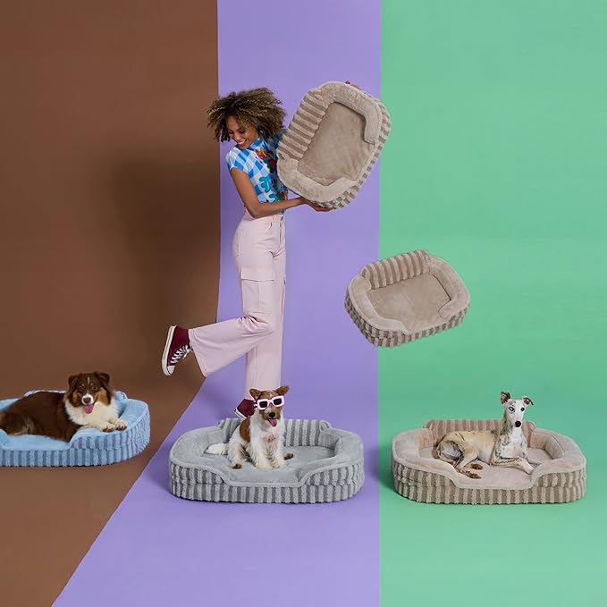LE SURE Cute Dog Bed Medium Size Dog, Orthopedic Waterproof Medium Pet Beds with Sides, High Back Non-Slip Bottom and Egg-Crate Foam Pet Couch Sofa with Washable Removable Cover, Grey