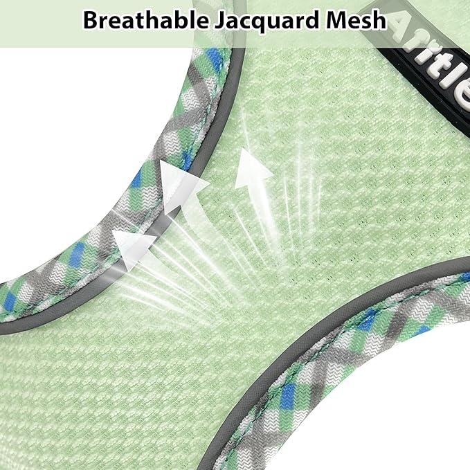 AIITLE Teacup Puppy Harness with Leash - Adjustable Soft Vest with Magic Tape & Reflective Safety Strips, Easy-Put-On for Poodles, Pomeranians - Gym, Hiking, Travel (Sage, S)