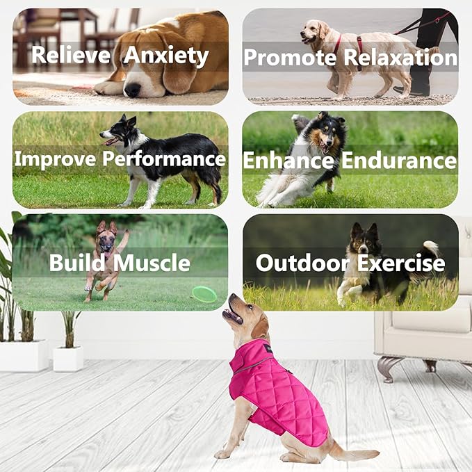 Weighted Dog Vest, Tactical Weight Coat with Beads for Dogs Anxiety- Relieve Stress, Build Muscle & Optimize Health, Premium Heavy Duty Dog Training Jacket for Exercise and Strength (Red, M)