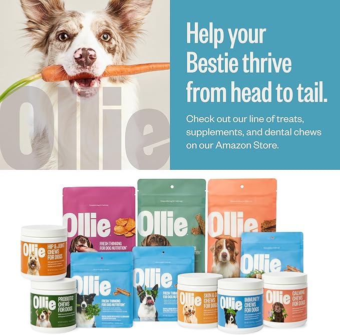Ollie Salmon and Coconut Jerky Dog Treats, 5 oz Pack of 3, All Natural, Healthy Snacks, Made with Real Meat, Human Grade, for Dogs