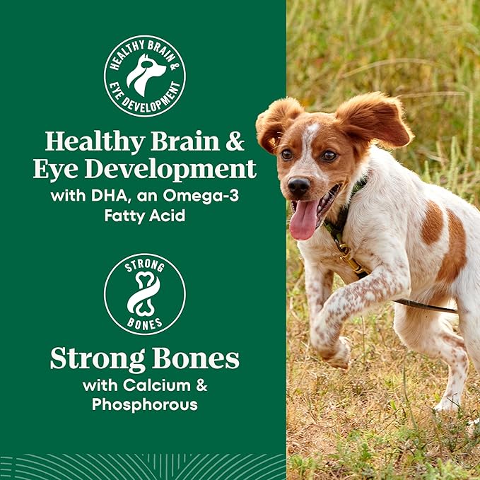 Nutro Natural Choice Large Breed Puppy Food Dry, Lamb & Brown Rice Recipe, 30 lb. Bag