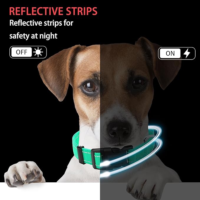 Reflective Dog Collar with Safety Locking Buckle, Adjustable Soft Breathable Nylon Collars for Small, Medium and Large Dogs(Collar+Leash XS Width 5/8" Turquoise)