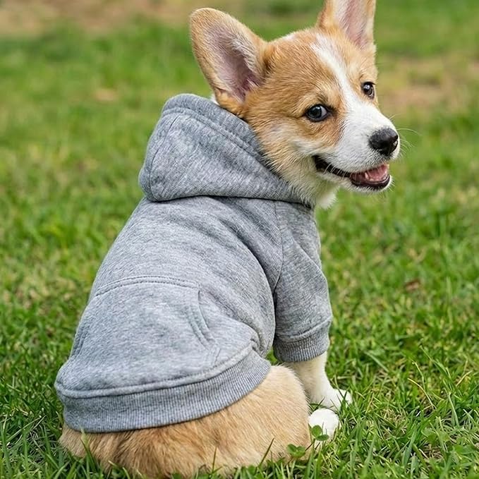 Personalized Dog Hoodie, Custom Name Text Hoodie for Dog, Pet Clothes Warm Winter Dog Outfit 4