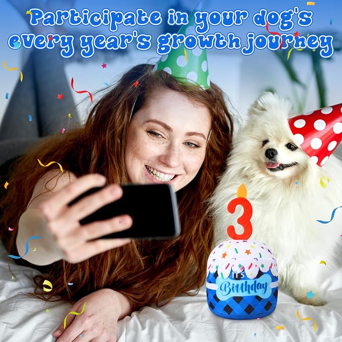 Dansydaisy Dog Birthday Cake Toy Squeaky Plush Gift,3rd,Blue Grid