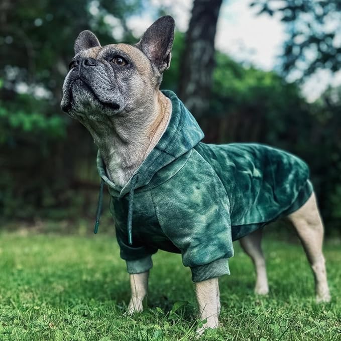 Spark Paws Dog Hoodie – Premium Dog Sweater for Small, Medium, and Large Dogs | Warm Outfits for French Bulldogs, Pitbull, Puppy, Winter Jacket Alternative -Green Skydye, M