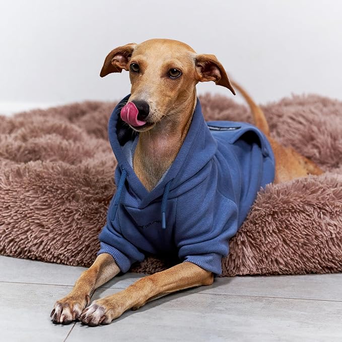 Tuff Pupper Dog Hoodie | Premium Quality Insulated Fabric | Ultra Soft Interior for Superior Comfort | Elastic Cuffs & Drawstring for Warmth | Stretch Fit Suitable for All Breeds (Blue, XXS)