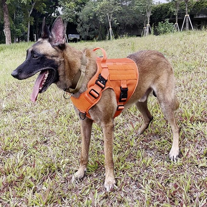 ICEFANG Tactical Dog Harness, X-Large Size,2X Metal Buckle,Working Dog MOLLE Vest with Handle,No Pulling Front Leash Clip,Hook and Loop Panel (Orange,XL (Pack of 1))