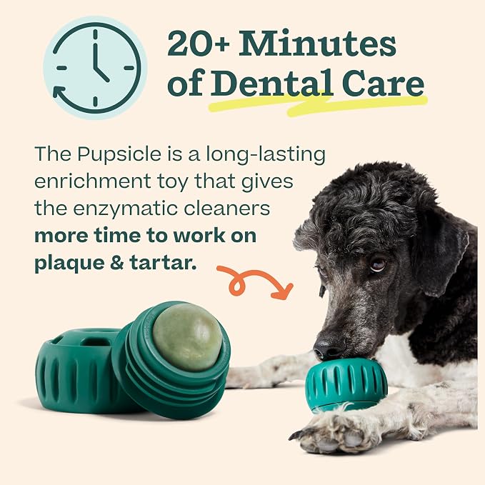 WOOF Dental Kit- Includes Pupsicle Dog Toy, Treat Tray, Shaker Bottle, Chicken Pupsicle Pops, and Dog Teeth Cleaning Powder - Supports Oral Health for Dogs - XL