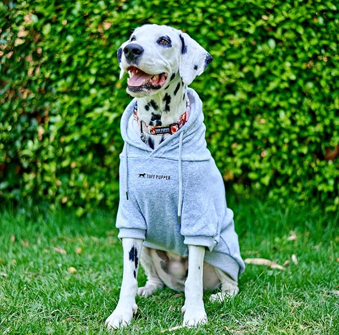 Tuff Pupper Dog Hoodie | Premium Quality Insulated Fabric | Ultra Soft Interior for Superior Comfort | Elastic Cuffs & Drawstring for Warmth | Stretch Fit Suitable for All Breeds (Gray, L)