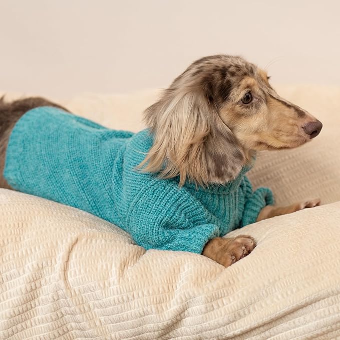 Fitwarm Medium Turtleneck Dog Knitted Sweater, Teal Blue Thermal Winter Dog Clothes for Small Dogs - Pullover Jumper Pet Outfit