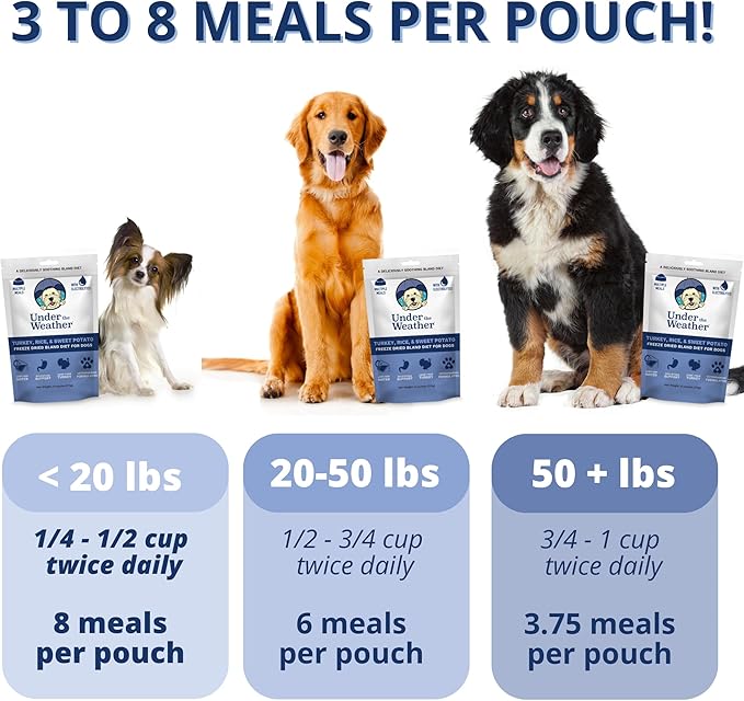 Under the Weather Bland Diet for Dogs | Easy to Digest for Sick Dogs |Always Be Ready| Contains Electrolytes - All Natural Freeze Dried 100% Human Grade Meats| 2 Pack- Rice Turkey & Sweet Potato - 6oz