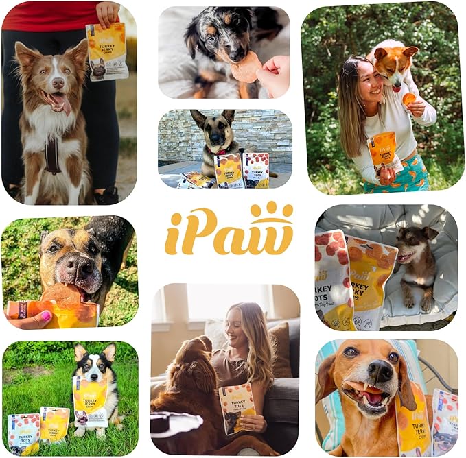 iPaw Chicken Tots Dog Treats for Puppy Training, All Natural Human Grade Dog Treat, Hypoallergenic, Easy to Digest (Chicken Tots), 2 Packs