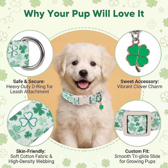 Green Dog Collar, Cute Spring Theme Dog Collar with Green Clover Print for Small Dogs, Small Puppy Collar for Girl Dogs & Boy Dogs, S