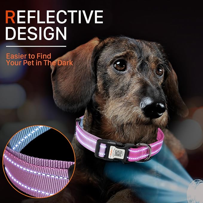Personalized Dog Collar with QR Code Dog Tag, Blue&Rose Red M | Anti-lost, 1000D nylon, reflective, padded, XS-L(8"-24"), QR buckle shares lost pet profile, location alerts when scanned