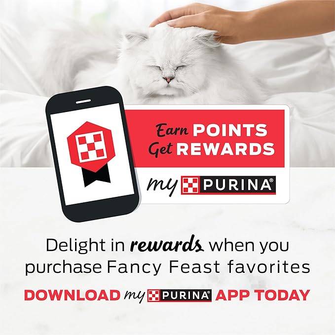 Purina Fancy Feast Kitten Tender Ocean Whitefish Feast and Tender Turkey Feast Wet Kitten Food Variety Pack - (2 Packs of 12) 3 oz. Cans