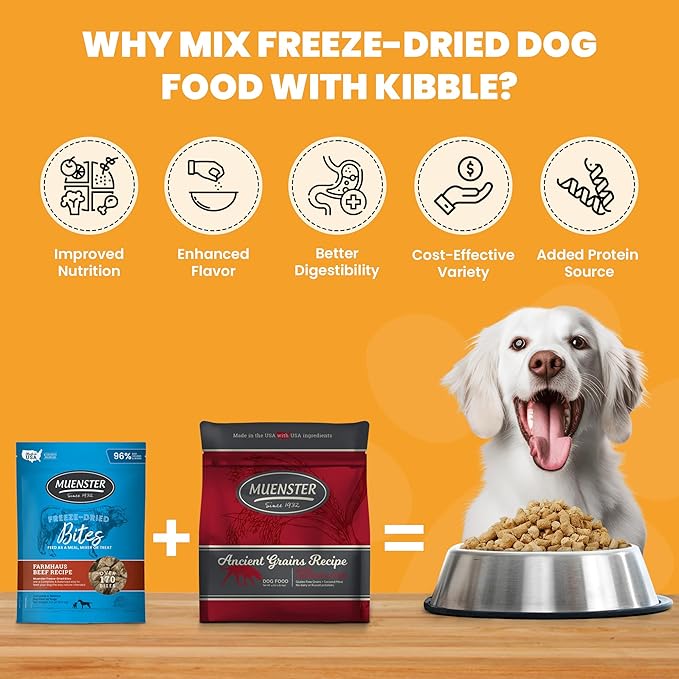 Muenster Ancient Grains Chicken & Pork Dry Dog Food, 4lb - Gluten-Free, High Protein, Digestive Support