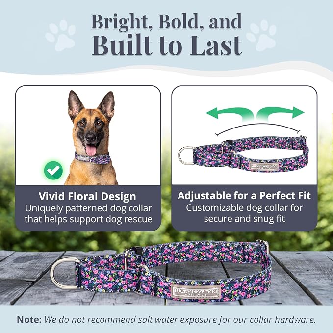 Lucky Love Dog Martingale Collar for Large Dogs No Slip – Primrose, Large