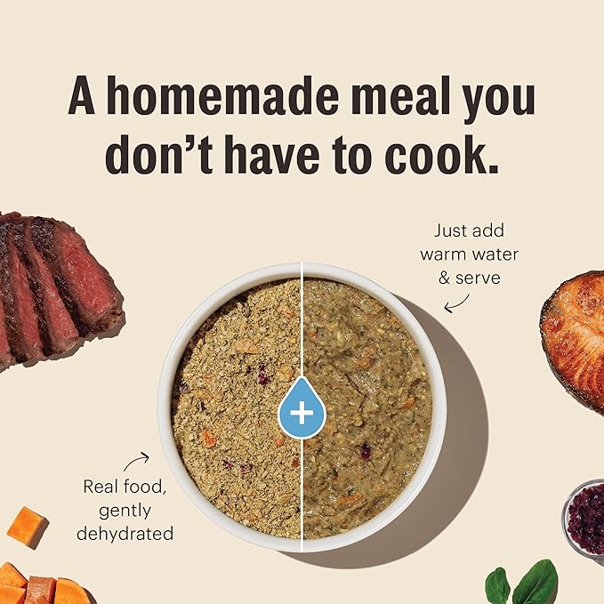 The Honest Kitchen Human Grade Wholemade™ Dehydrated Whole Grain Dog Food - Complete & Balanced Meal or Topper - Chicken 7 lb Box