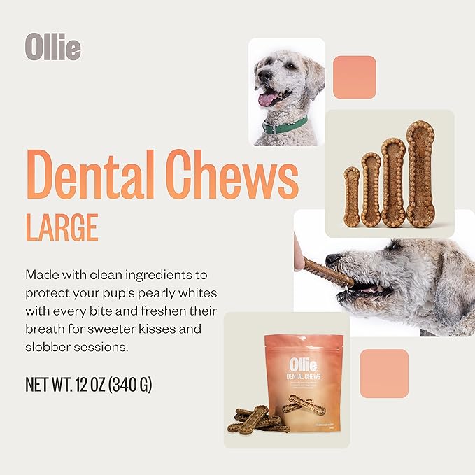 Ollie Dental Chews for Large Dogs, 4 Pack, Fresh Breath, Teeth Cleaning Treats, Sticks for Dog Oral Care, with Parsley and Cinnimon, for Pups 51 lbs and Above